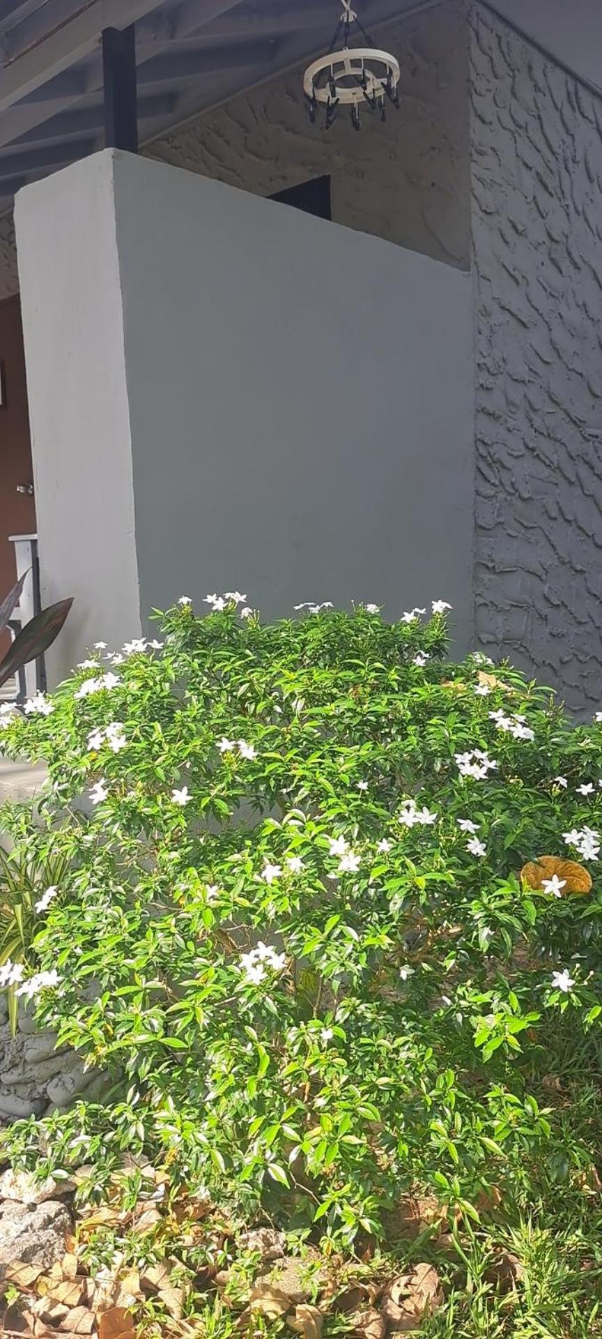 Siam Flora Resort Ко-Ланта Екстер'єр фото