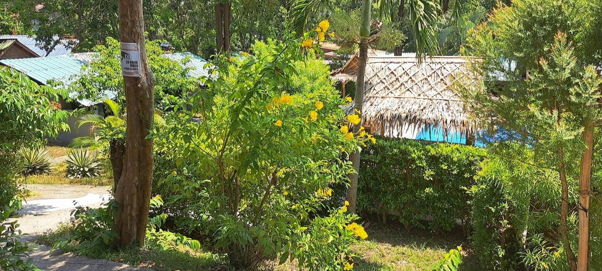 Siam Flora Resort Ко-Ланта Номер фото