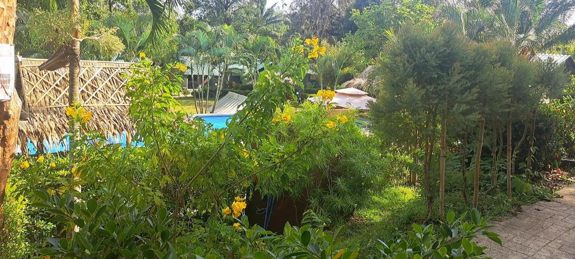 Siam Flora Resort Ко-Ланта Номер фото